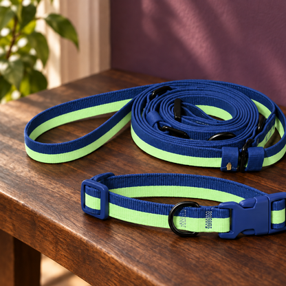 Hands-Free Webbing Dog Leash & Collar Set for Easy Walks