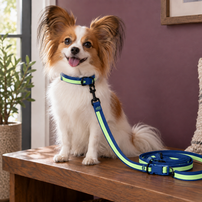 Hands-Free Webbing Dog Leash & Collar Set for Easy Walks