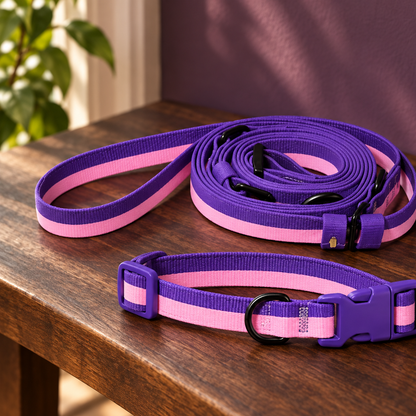 Hands-Free Webbing Dog Leash & Collar Set for Easy Walks