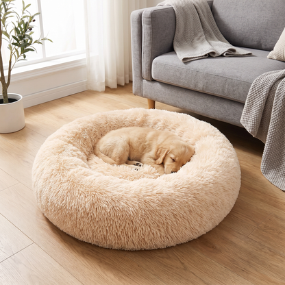 Puppy asleep in a cream donut bed in a living room