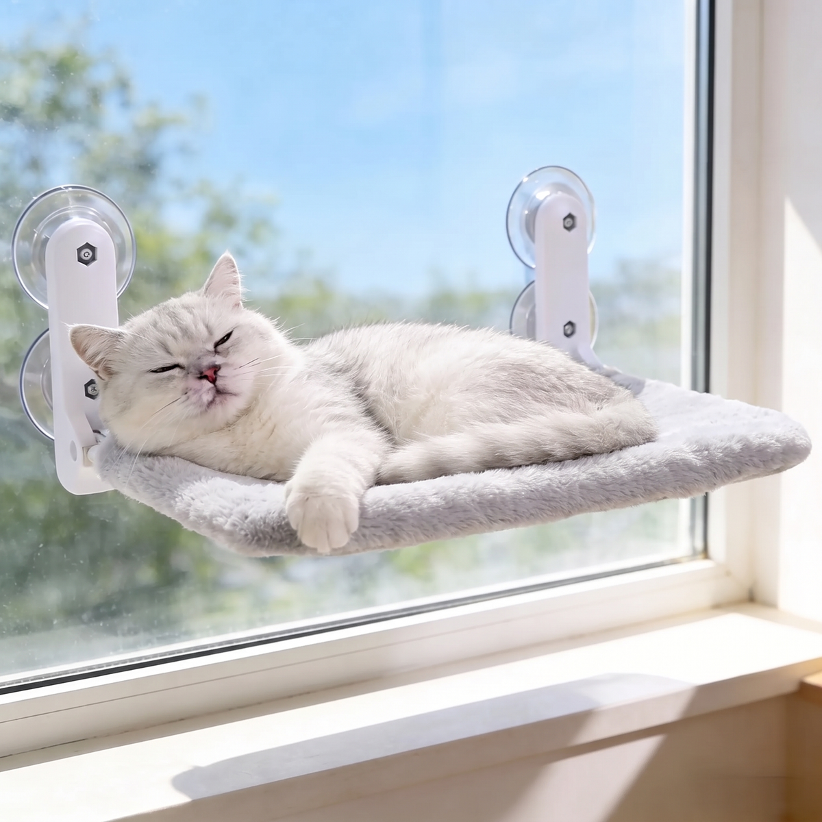 Cat on a gray flannel window hammock
