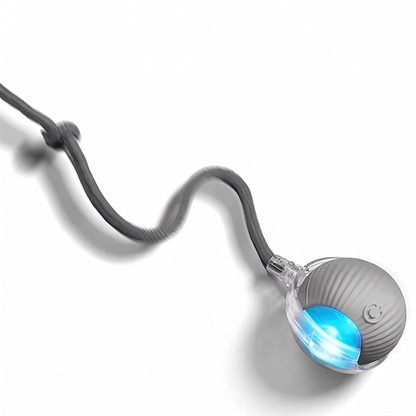Grey automatic rolling cat ball with tail