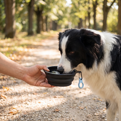 Handy Silicone Collapsible Dog Bowl with Clip for Travel