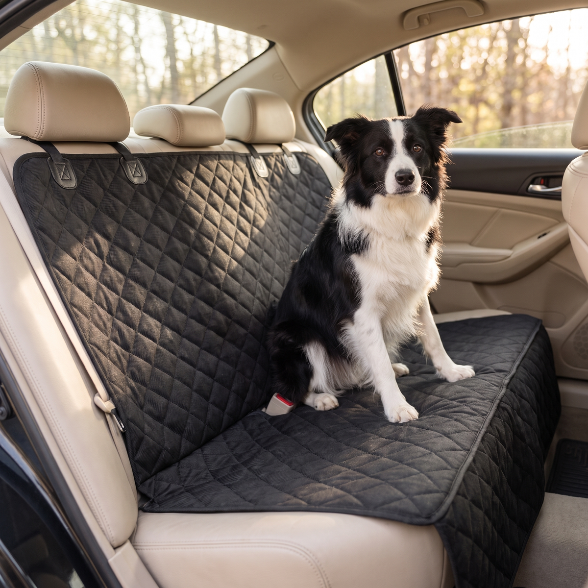 Durable Waterproof Dog Car Seat Cover for Clean Rides