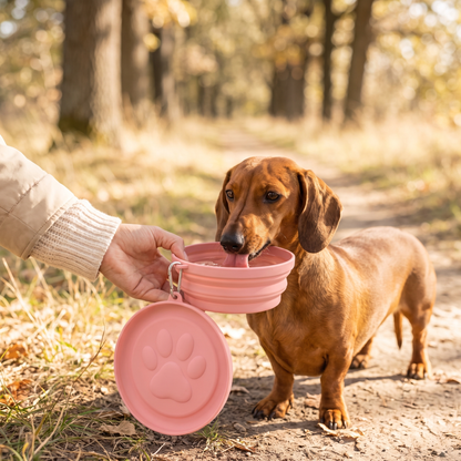 Clever 2-in-1 Portable Dog Bowl for Food & Water on the Go
