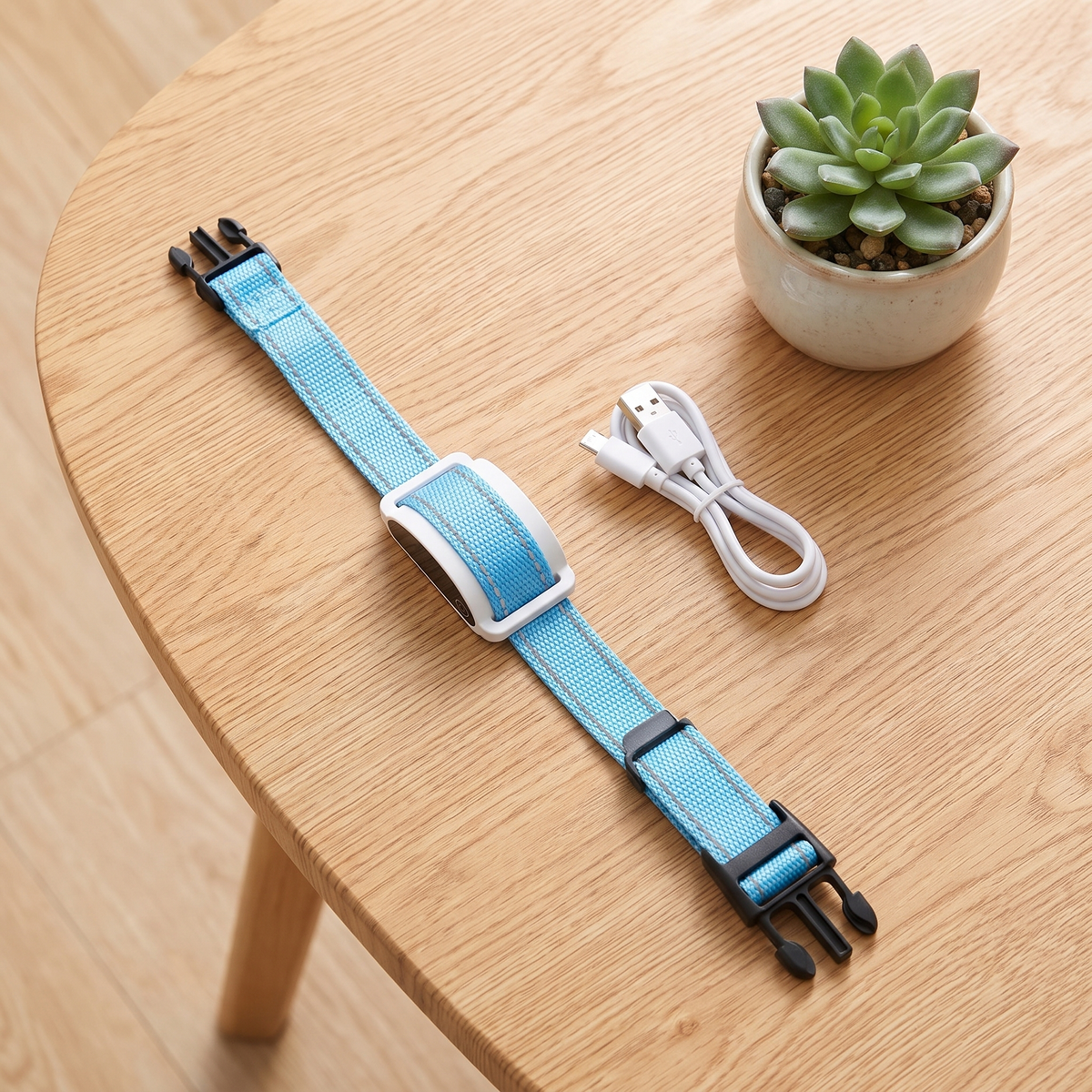 Cat training collar with USB charging cable on a table