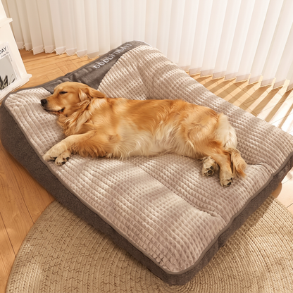 Large dog stretched out on the velvet bed