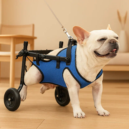 Adjustable Dog Wheelchair | Lightweight Mobility Aid for Rehabilitation & Injury Recovery