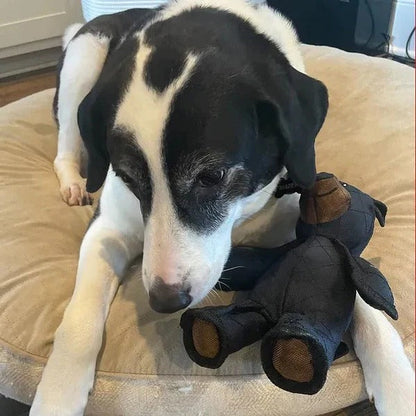 Chew-Resistant Bear Dog Toy | Durable Interactive Toy for Heavy Chewers