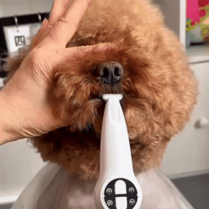 2-in-1 Pet Nail Trimmer & Grinder | Quiet Electric Grooming Tool with LED Light