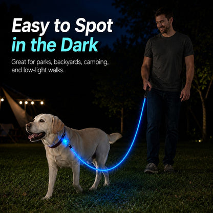 Light Up Dog Leash, USB Rechargeable LED for Night Walks
