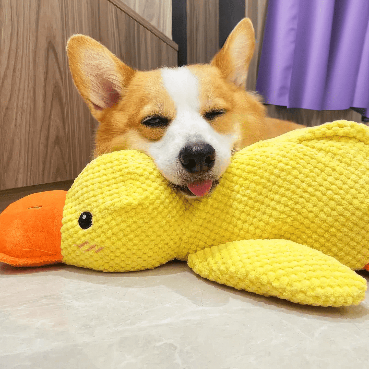 Calming Duck Toy | Durable Dog Chew – Anxiety Relief & Enrichment