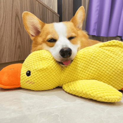 Calming Duck Toy | Durable Dog Chew – Anxiety Relief & Enrichment