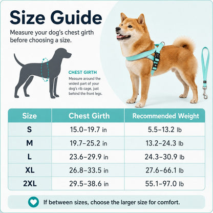 Step-In Dog Harness and Leash Set for No-Choke Daily Walks