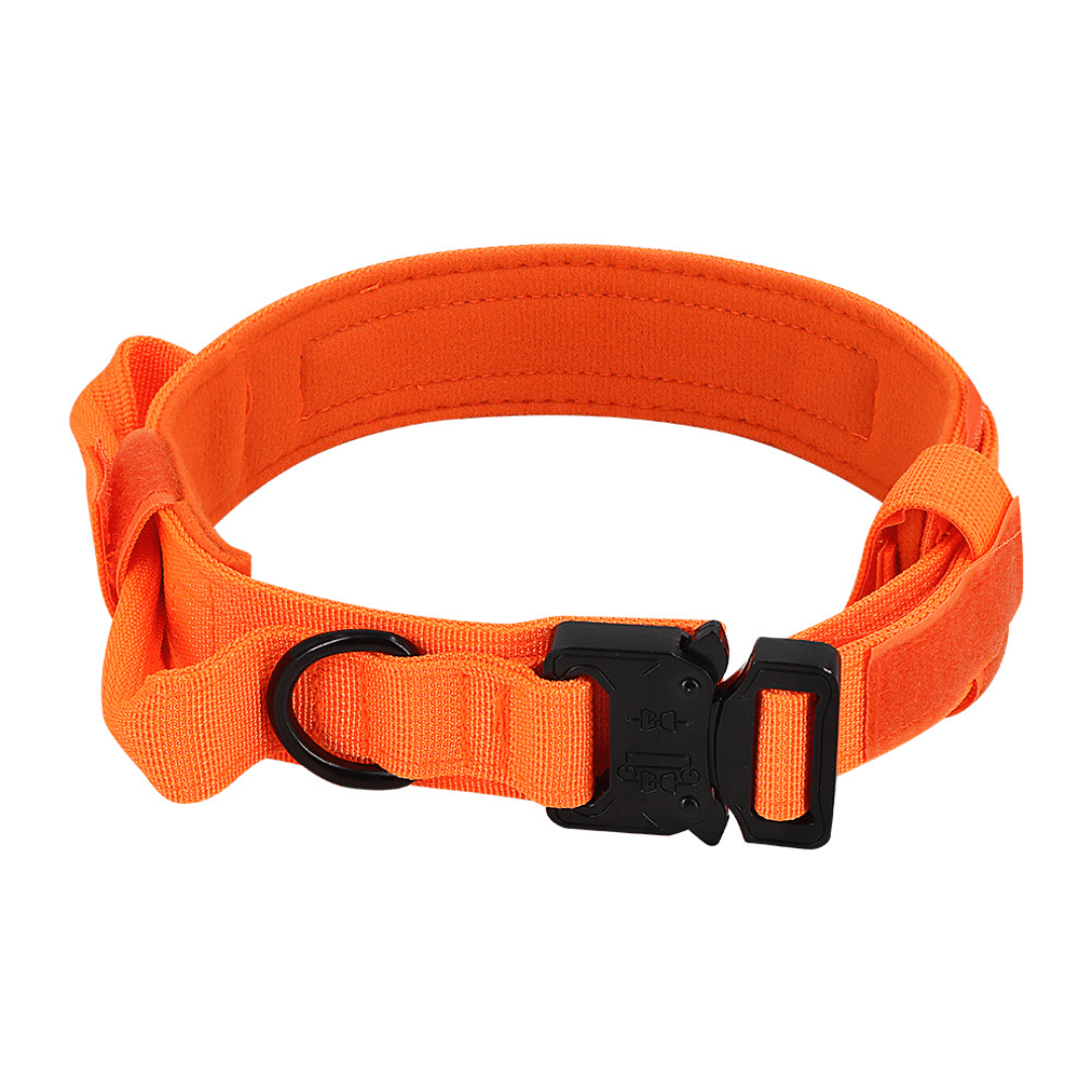 Rugged Padded Nylon Tactical Dog Collar for Better Control