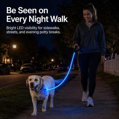 Light Up Dog Leash, USB Rechargeable LED for Night Walks