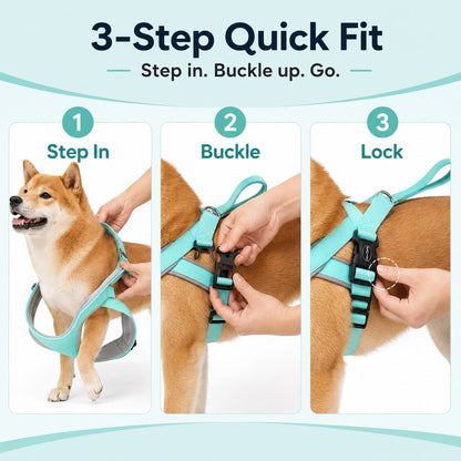 Step-In Dog Harness and Leash Set for No-Choke Daily Walks