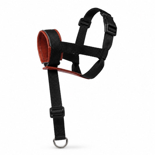 No Pull Dog Head Halter, Padded & Adjustable for Walks