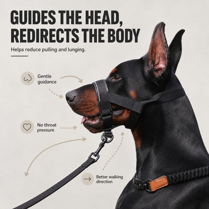 No Pull Dog Head Halter, Padded & Adjustable for Walks