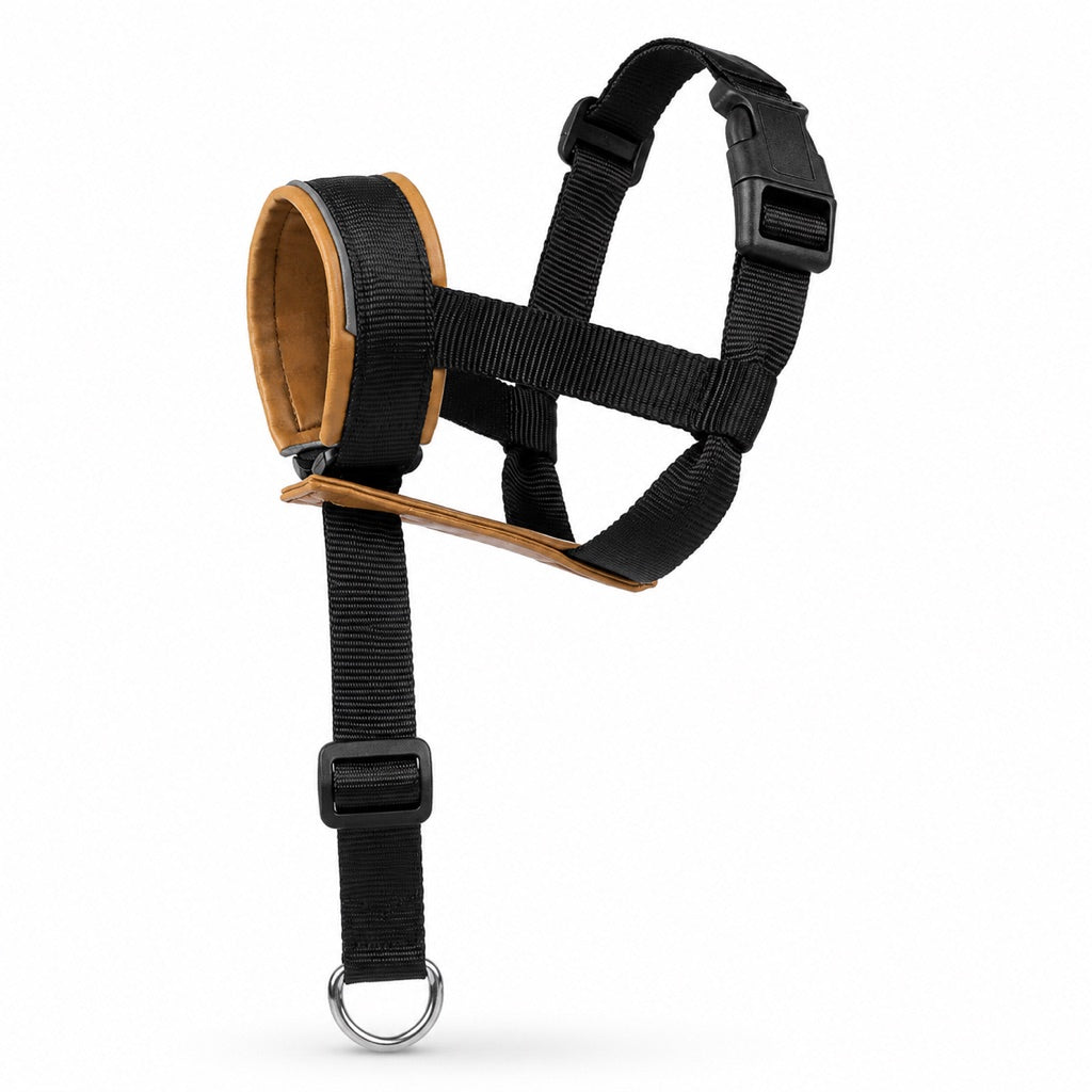 No Pull Dog Head Halter, Padded & Adjustable for Walks