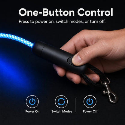 Light Up Dog Leash, USB Rechargeable LED for Night Walks