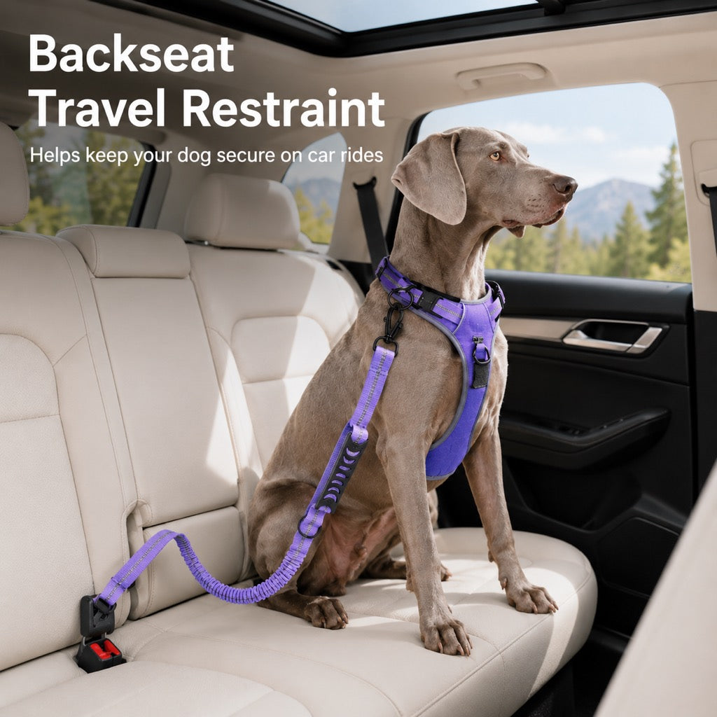 Dog Seat Belt Leash for Car, Reflective Bungee Tether