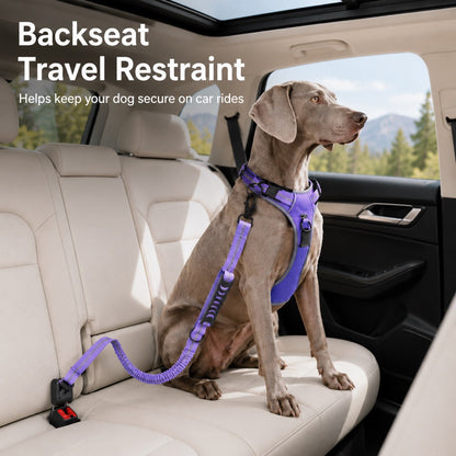 Dog Seat Belt Leash for Car, Reflective Bungee Tether