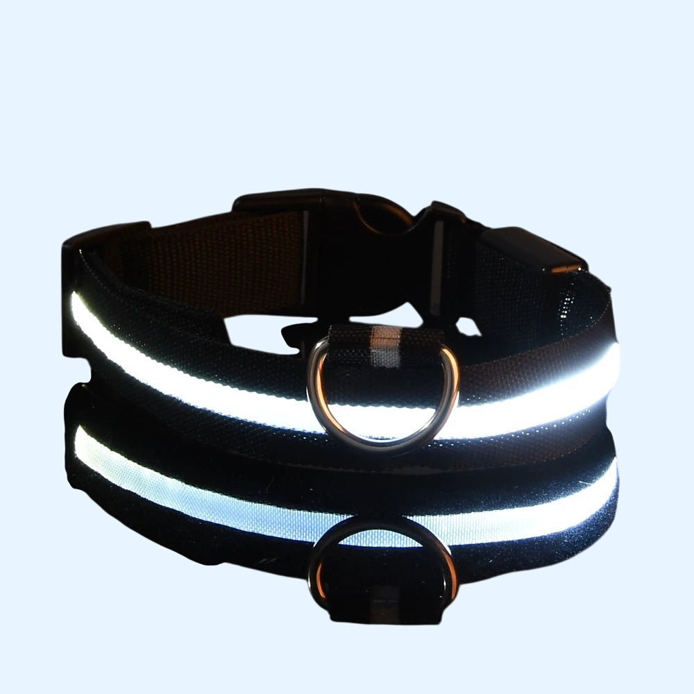 Ultra-Bright LED Night Safety Dog Collar