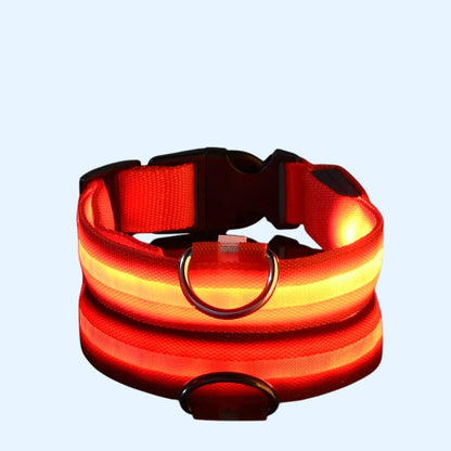 Ultra-Bright LED Night Safety Dog Collar