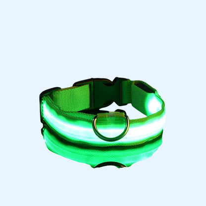 Ultra-Bright LED Night Safety Dog Collar
