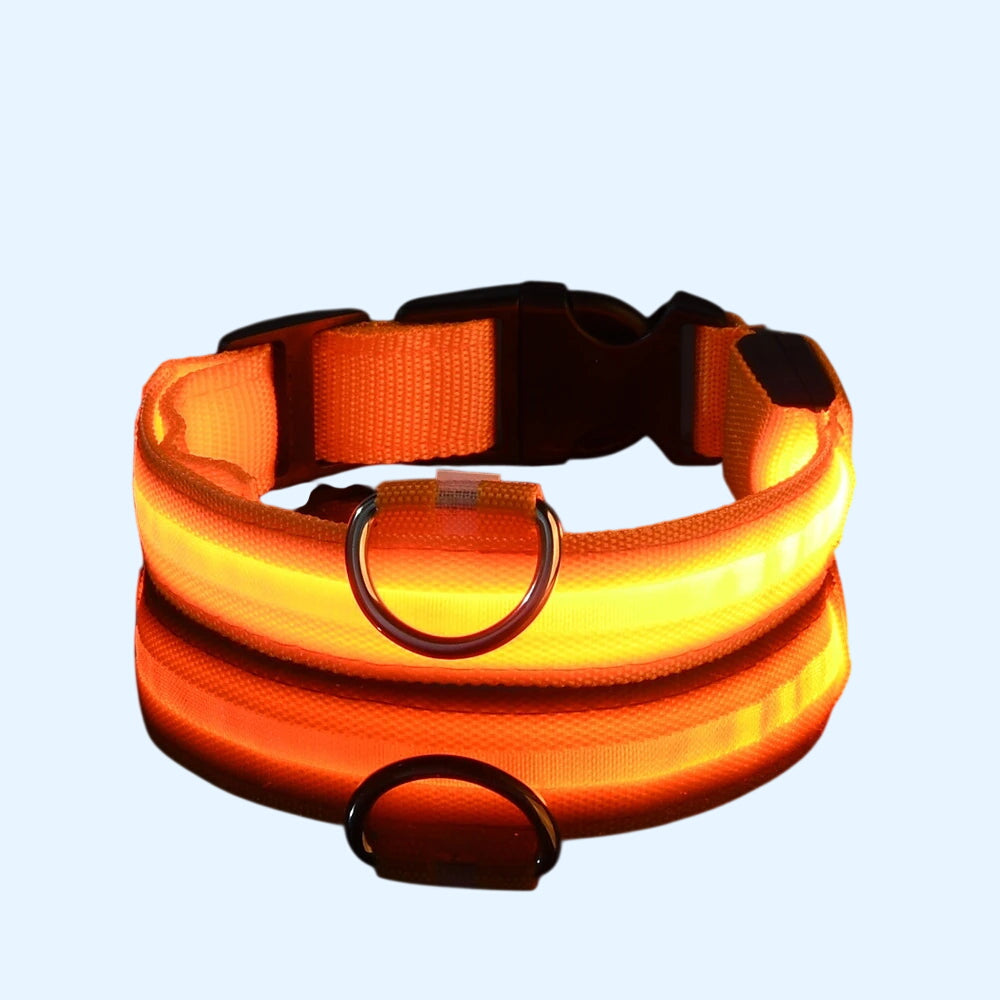 Ultra-Bright LED Night Safety Dog Collar