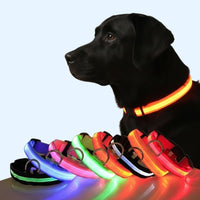 Ultra-Bright LED Night Safety Dog Collar