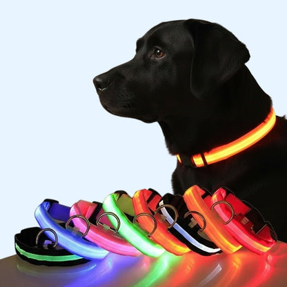 Ultra-Bright LED Night Safety Dog Collar