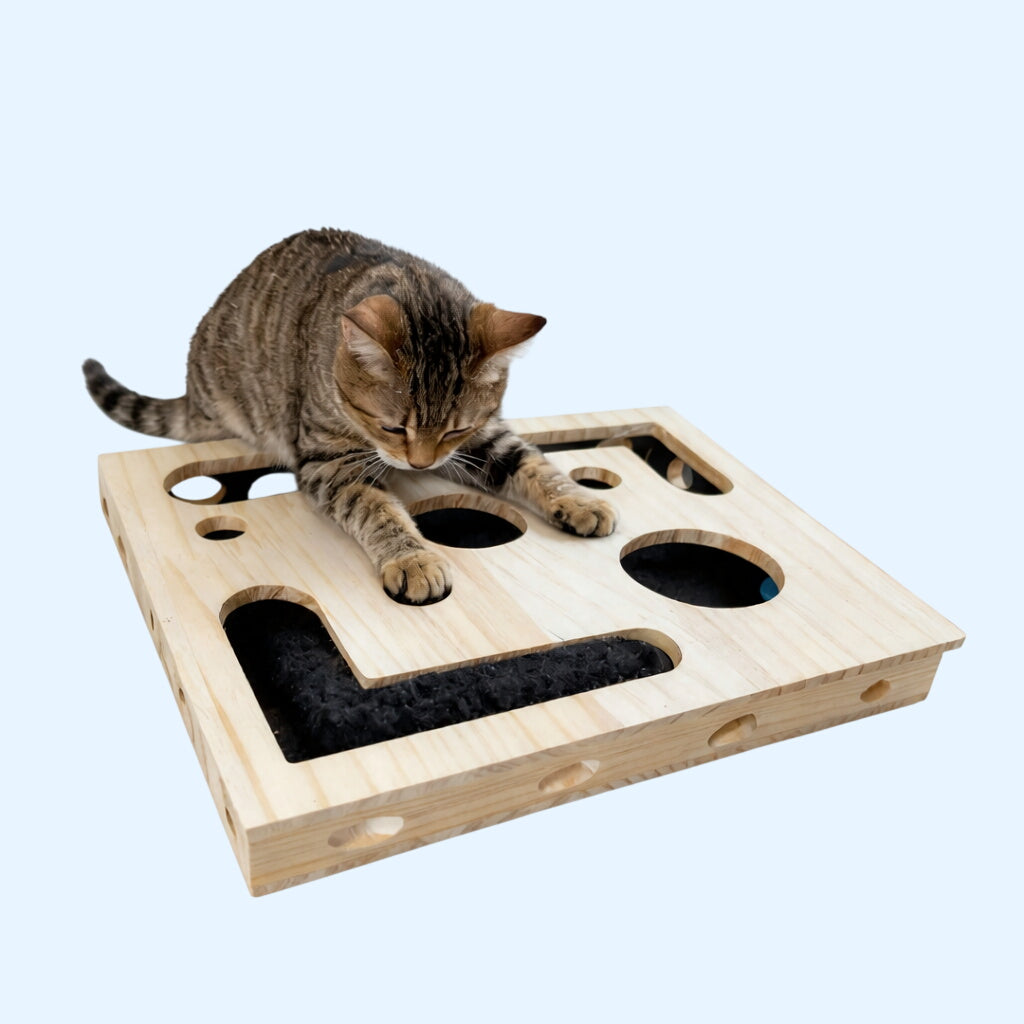 The Pedicure Puzzle: Stress-Free Cat Nail File & Interactive Treat Maze