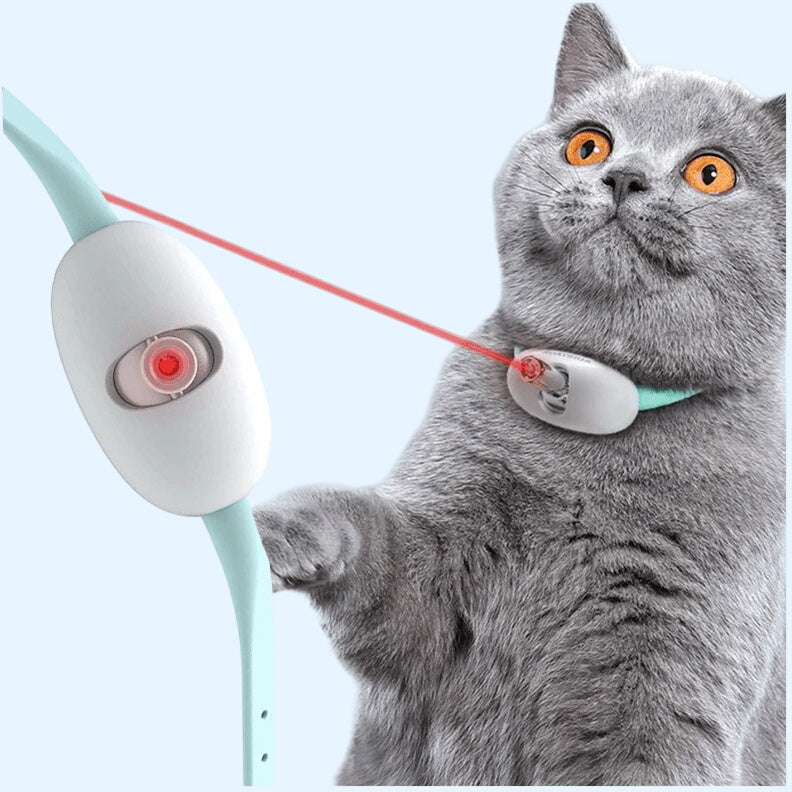 Cat Laser Collar