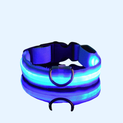 Ultra-Bright LED Night Safety Dog Collar