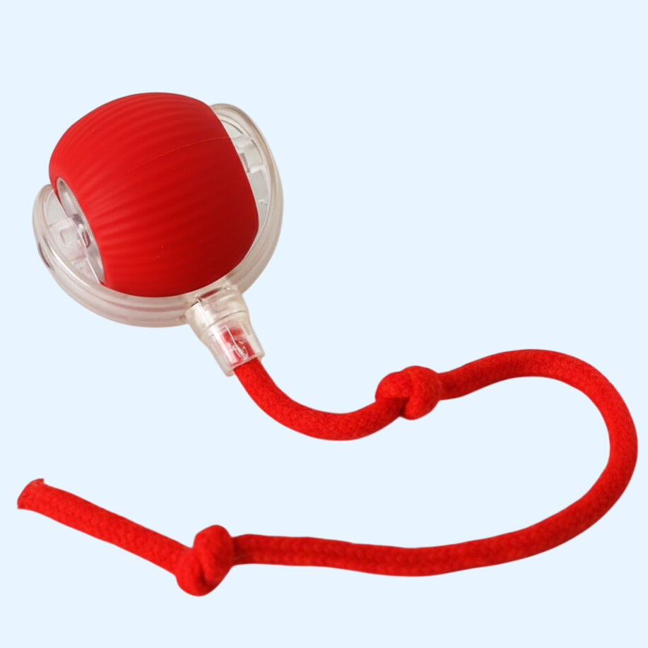 Smart Interactive Rolling Ball Toy