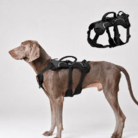 AirTag-Compatible Escape-Resistant Harness for Dogs That Pull