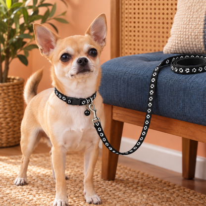 Adorable Paw-Print Nylon Collar & Leash Set for Daily Walks