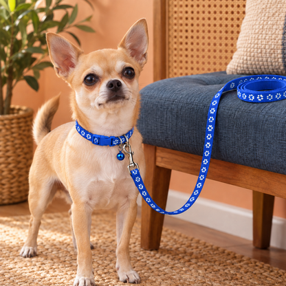 Adorable Paw-Print Nylon Collar & Leash Set for Daily Walks