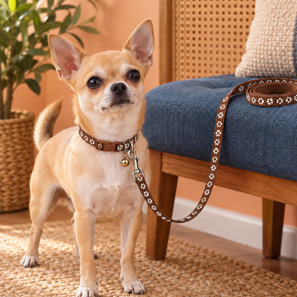 Adorable Paw-Print Nylon Collar & Leash Set for Daily Walks
