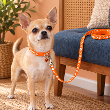 Adorable Paw-Print Nylon Collar & Leash Set for Daily Walks
