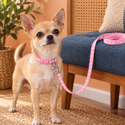 Adorable Paw-Print Nylon Collar & Leash Set for Daily Walks