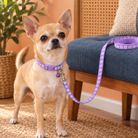 Adorable Paw-Print Nylon Collar & Leash Set for Daily Walks