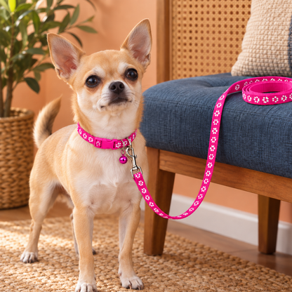 Adorable Paw-Print Nylon Collar & Leash Set for Daily Walks