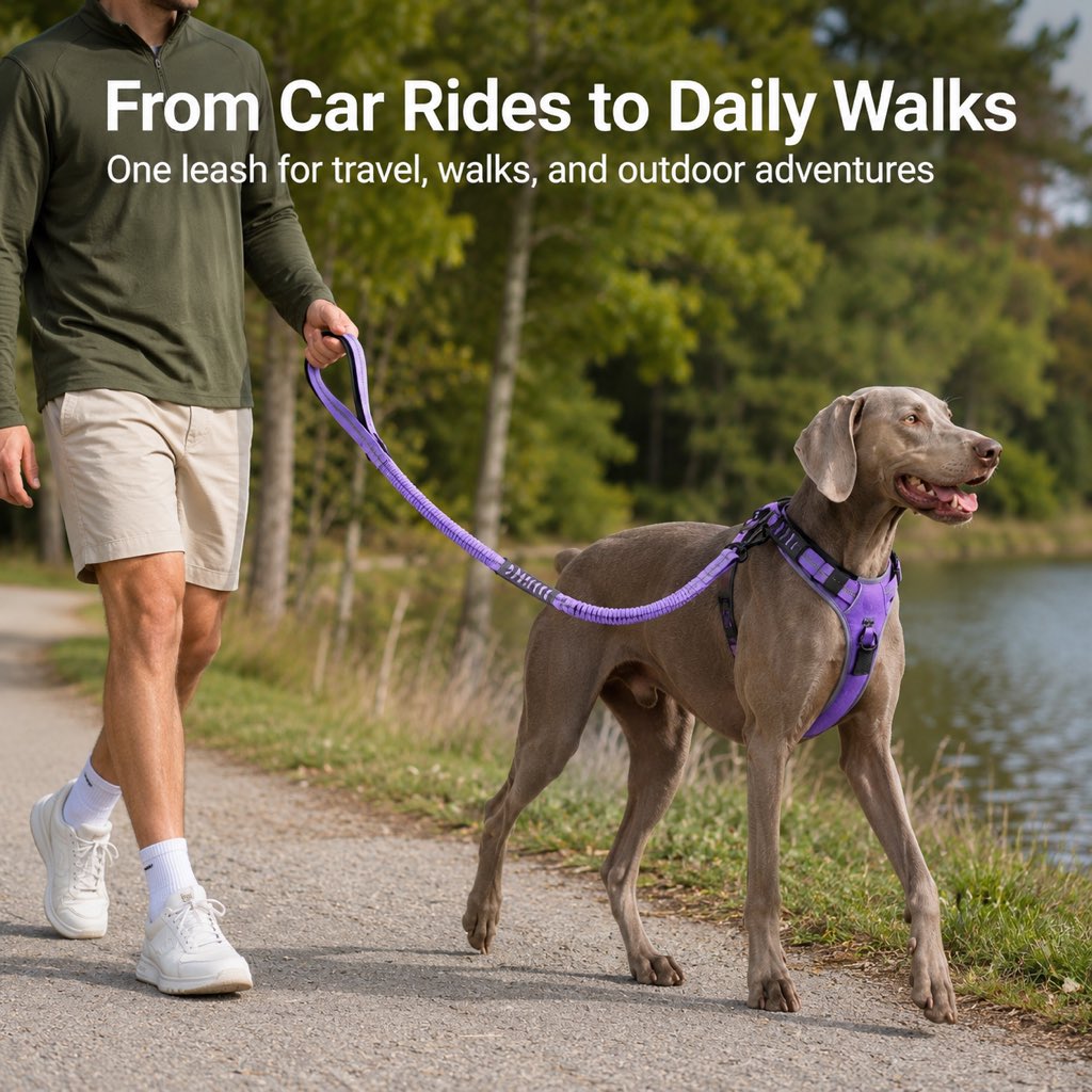 Dog Seat Belt Leash for Car, Reflective Bungee Tether