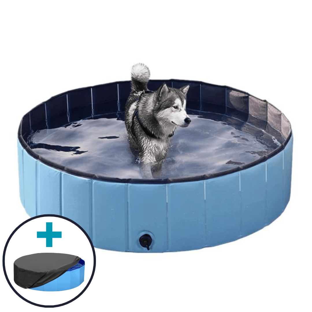 Splash-Ready Foldable Double-Layer Dog Pool for Summer Fun
