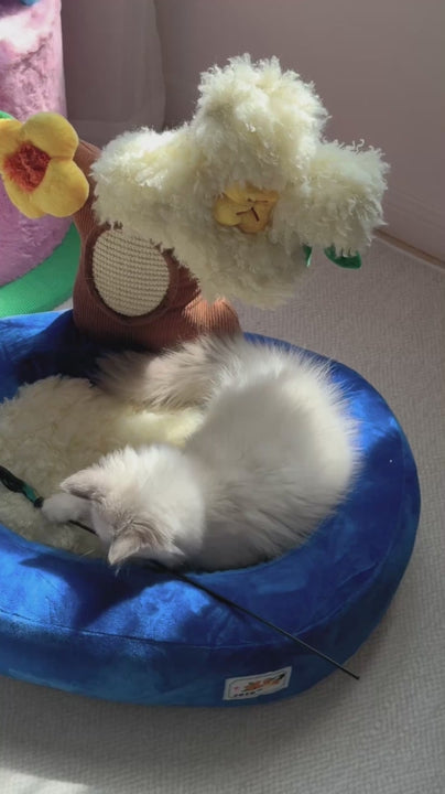 Golden Osmanthus Potted Pet Bed
