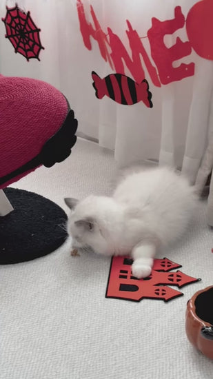Red Heart Sisal Cat Tree Tower