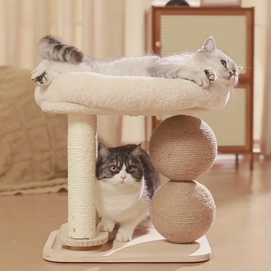 Cat Sisal Scratching & Sleeping Nest